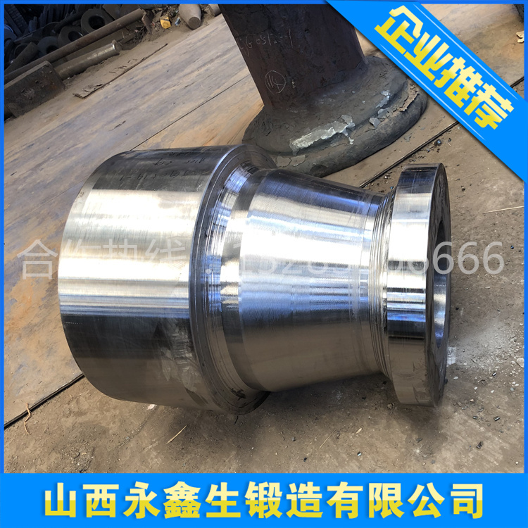 S20100不銹鋼鍛件