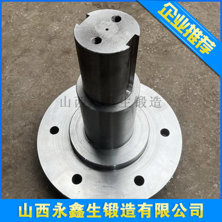 鍛造電機(jī)主軸