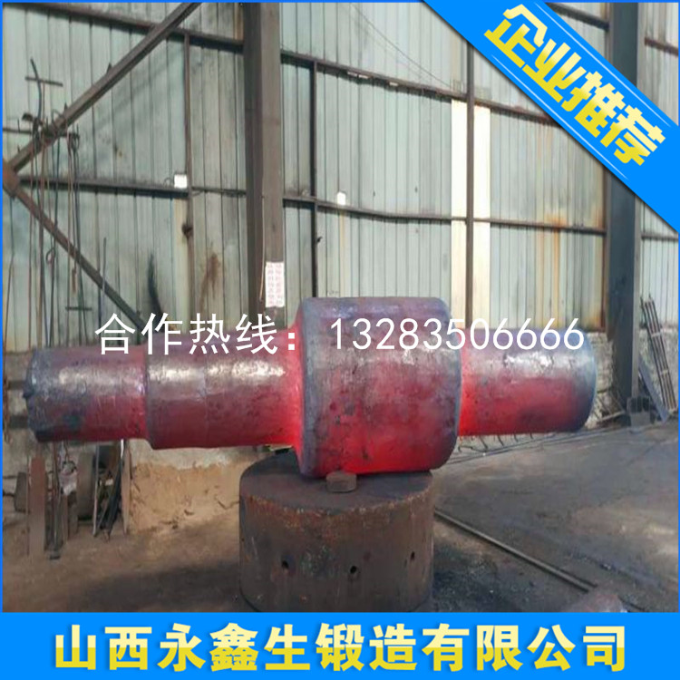 側(cè)電機(jī)軸鍛件